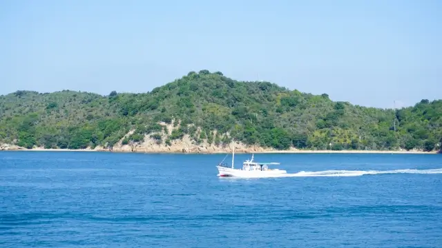 瀬戸内海の海洋散骨