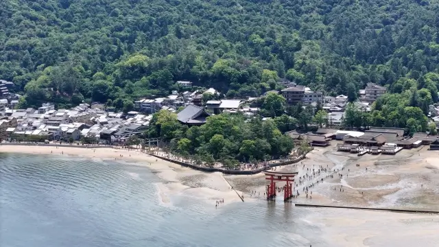 広島の海洋散骨