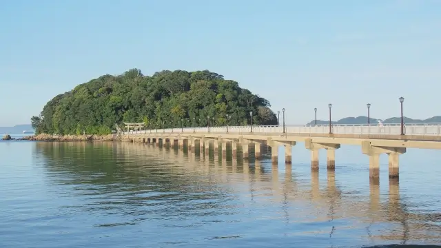 愛知の海洋散骨