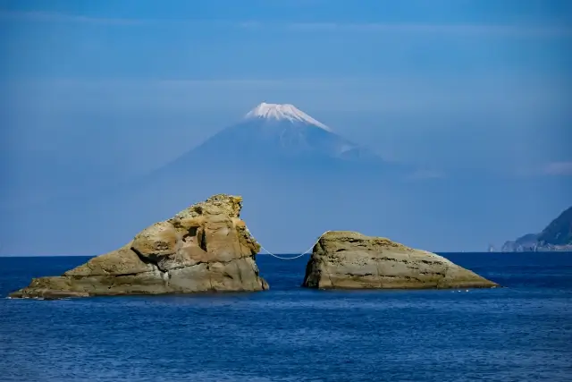 駿河湾散骨