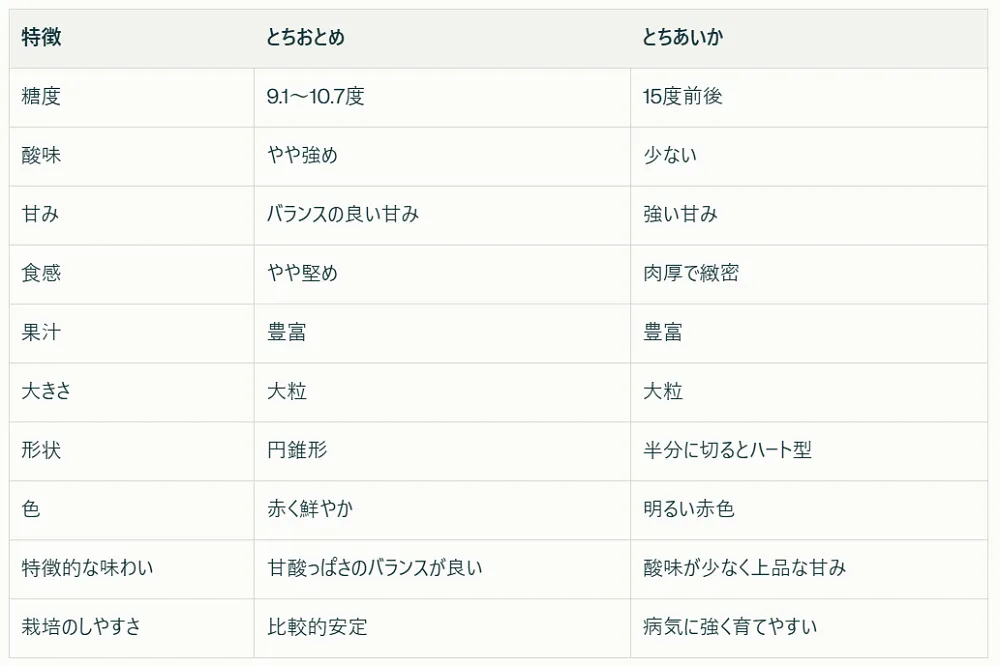 とちおとめととちあいかの違い